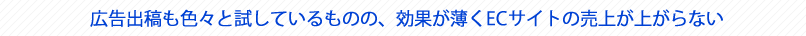 広告出稿も色々と試しているものの、効果が薄くECサイトの売上が上がらない