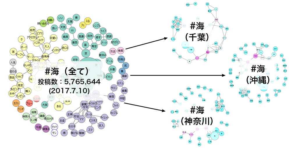 キーワードの出現頻度や相関の強さを視覚化（共起ネットワーク分析）した図