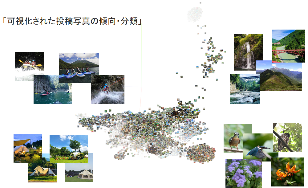 図：AI解析の画像グループに名称付与